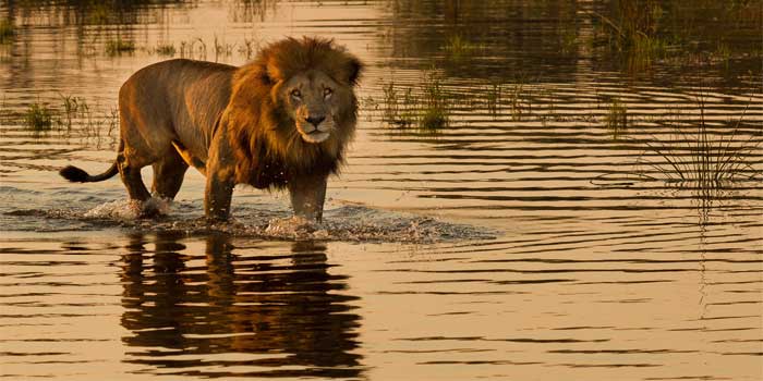 Botswana